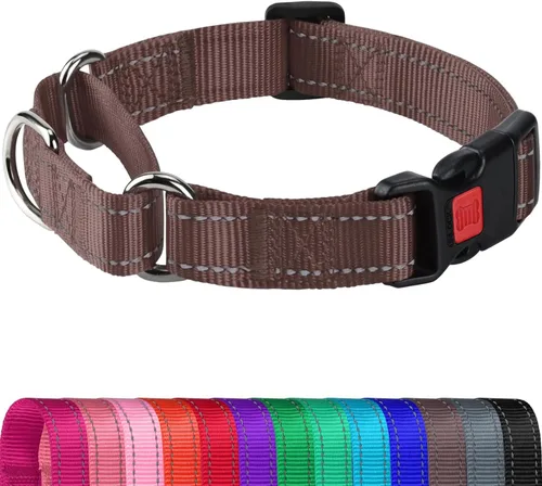 Miniatura 7 de Joytale - Collar martingale para perros, reflectante de alta resistencia para seguridad, hebilla de liberación rápida, collares ajustables de nailon