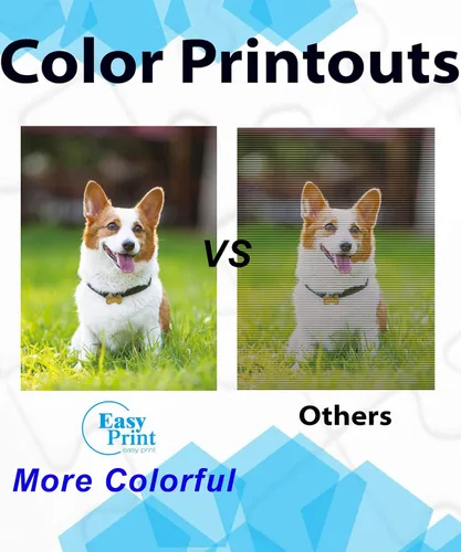 Miniatura 2 de EASYPRINT - Cartuchos de tinta compatibles 2200XL PGI-2200 PGI2200XL utilizados para Canon Maxify MB5320 MB5120 MB5420 MB5020 iB4120 iB4020