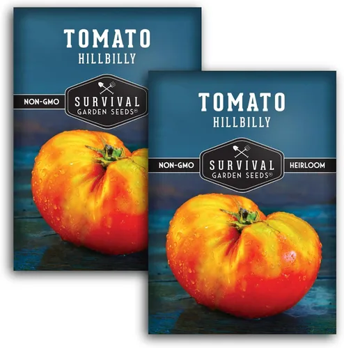 Survival Garden Seeds - Semilla de tomate Hillbilly para plantar - 2 paquetes con instrucciones para plantar y cultivar tomates de hoja de papa de
