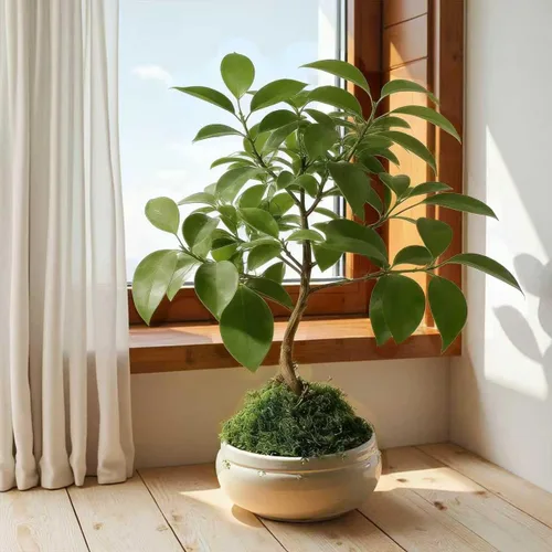 Miniatura 9 de Musgo verde falso – Musgo artificial para plantas de interior, imitación para manualidades, decoración de jardín de hadas de bricolaje, centros