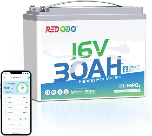 Miniatura 8 de Redodo Paquete de 4 baterías LiFePO4 de 12 V 100 Ah, baterías de ciclo profundo con BMS de 100 A, baterías del grupo 31 para 10 años de vida útil