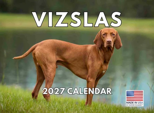 Miniatura 189 de Calendario de pared mensual 2025 Great Dane de 12 meses, fabricado en Estados Unidos