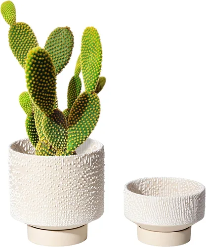 UBEE Maceta de cerámica para plantas de interior | Macetas de 5.5 pulgadas + 4.9 pulgadas con orificio de drenaje y platillo para aloe, plantas de