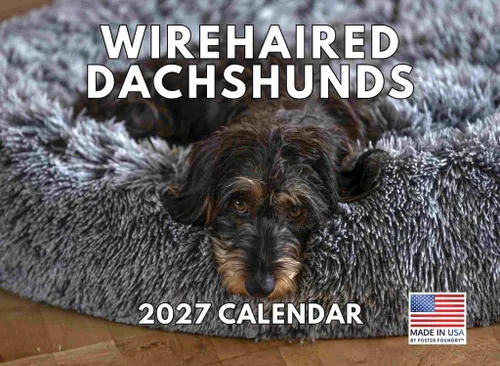 Miniatura 99 de Calendario de pared mensual 2025 Great Dane de 12 meses, fabricado en Estados Unidos