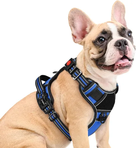 Miniatura 19 de Eagloo Arnés para perro de tamaño pequeño, fácil de llevar con 3 hebillas, arnés ajustable sin tirones para mascotas con sistema MOLLE, chaleco