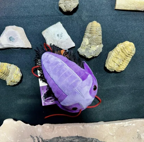 Miniatura 6 de GIANT MICROBES Fuzzy Fossils Trilobite Plush - Aprende sobre fósiles y criaturas prehistóricas, regalo único para familiares, amigos, científicos