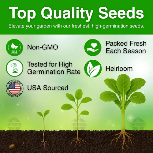 Miniatura 2 de Más de 1500 semillas de mostaza de hoja ancha de Florida para plantar, empaquetadas para semillas sin OMG 2026, crecimiento rápido, tolerantes al