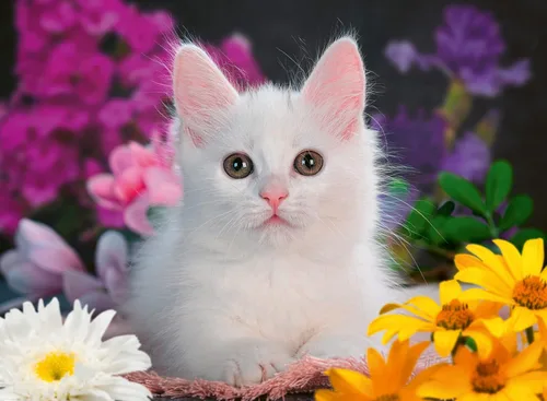 Miniatura 2 de Ravensburger Puzzle Glitter Cat 100 Piezas Puzzle Glitter para Niños