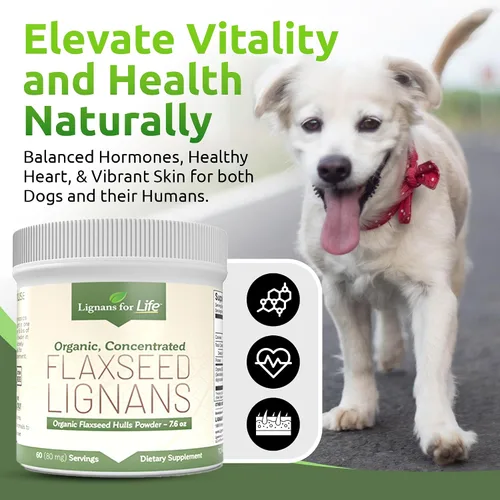 Miniatura 3 de Lignans for Life - Polvo natural de linaza molida a granel - Omega 3 y 6 antioxidantes rellenos de ácidos grasos con alto contenido de fibra - Apoya