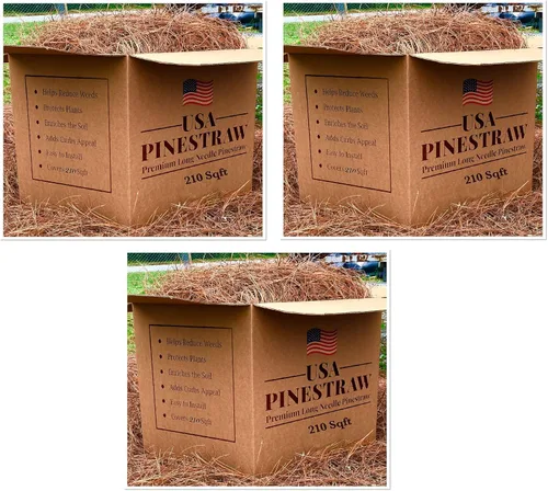 Miniatura 22 de Paja de pino de EE. UU., mantillo de aguja de pino de primera calidad (mantillo de aguja de pino, cubre 100 pies cuadrados, 2 juegos)