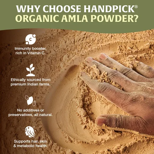 Miniatura 6 de HANDPICK - Polvo orgánico de amla (14 onzas) amalaki, certificado por el USDA, sin organismos modificados genéticamente 100 % crudo y natural