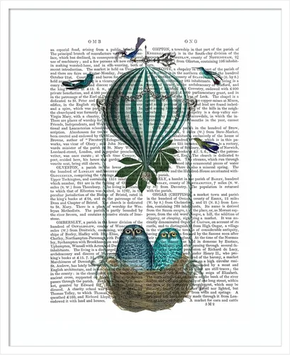 Miniatura 20 de Amanti Art Fab Funky - Póster enmarcado para pared, diseño de nido de globo de búho de 24 x 20 pulgadas, arte de pared de animales, decoración