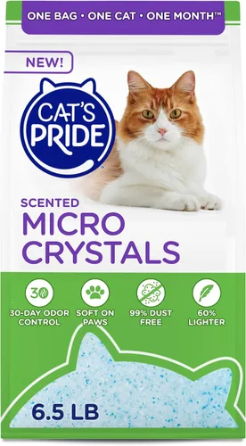 Miniatura 9 de Cat's Pride Arena aglutinante ligera: natural - Potente control de olores - Sin perfume, 10 libras Natural sin perfume