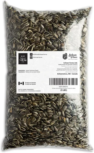 Miniatura 2 de Schoen Farms Semillas de girasol a rayas – Alimento para pájaros – Bolsa de 3 libras – Limpio, Semilla de pájaro para pinzones, arrendajos