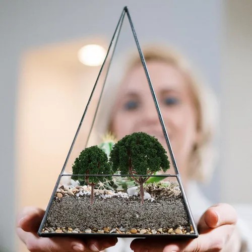 Miniatura 4 de 20 piezas de árboles modelo de plástico en miniatura para micro paisaje tren decoración de paisajes suministros de diorama