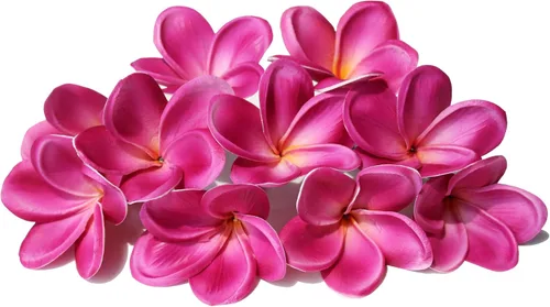 Miniatura 10 de 10 flores de plumeria artificiales de tacto real natural con tallos para fiestas temáticas hawaianas, un ramo de boda en la playa, decoración