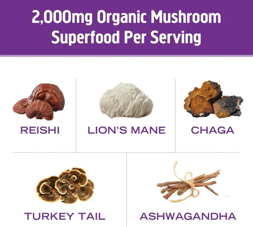 Miniatura 4 de OM MUSHROOM SUPERFOOD Mezcla de Chocolate Caliente – Cacao Holandés con Lion’s Mane, Reishi, Chaga y Cola de Turquía – Apoya el Enfoque, la Calma