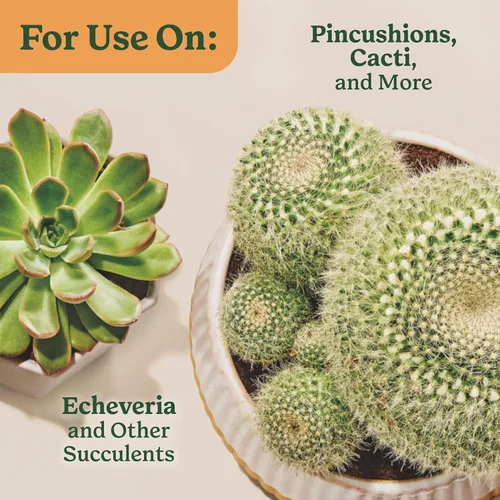 Miniatura 10 de Miracle-Gro Mezcla para macetas de interior para cactus y suculentas, mezcla para macetas de cactus y suculentas de drenaje rápido con alimentos