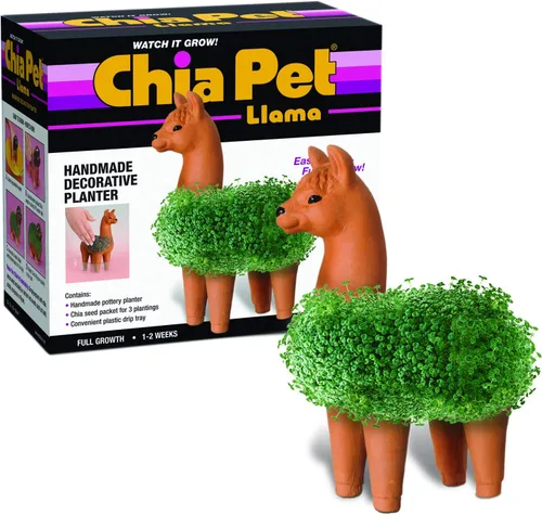 Miniatura 8 de Chia Pet Bear Cub con paquete de semillas, maceta decorativa de cerámica, fácil de hacer y divertido de cultivar, regalo novedoso, perfecto
