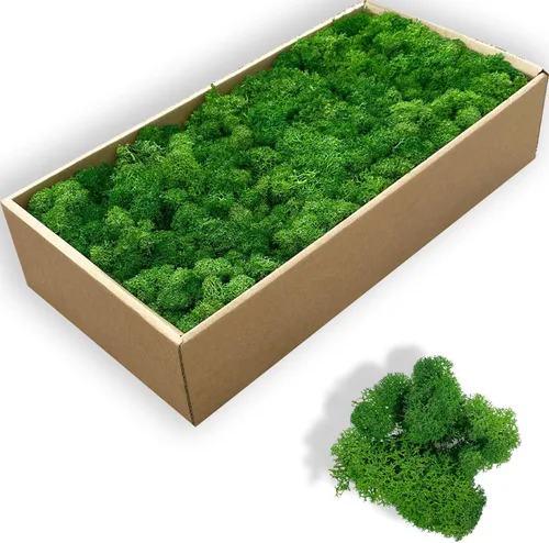 Miniatura 13 de Musgo artificial preservado de 1.1 libras para plantas en maceta, musgo verde fresco natural para manualidades, musgo artificial, orquídea floral