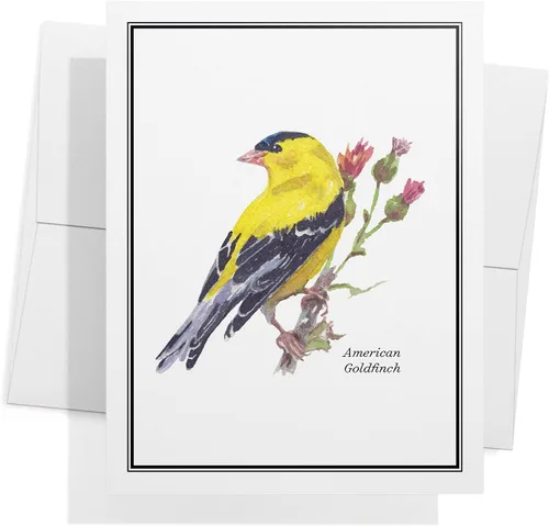 Miniatura 4 de Twigs Paper - Tarjetas de felicitación de aves americanas surtidas - Tarjetas de papelería con sobres, tarjeta de agradecimiento, tarjetas de notas