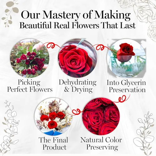 Miniatura 9 de GLAMOUR BOUTIQUE Ramo de flores preservadas, flores para siempre en una caja con hortensias y más, listo para regalo para aniversario, cumpleaños