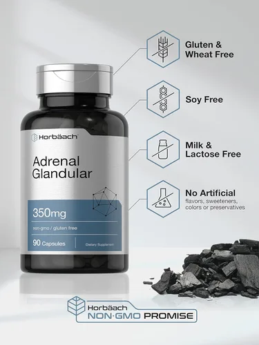 Miniatura 4 de Horbäach Glandular suprarrenal crudo 350 mg 90 cápsulas Suplemento sin OMG, sin gluten