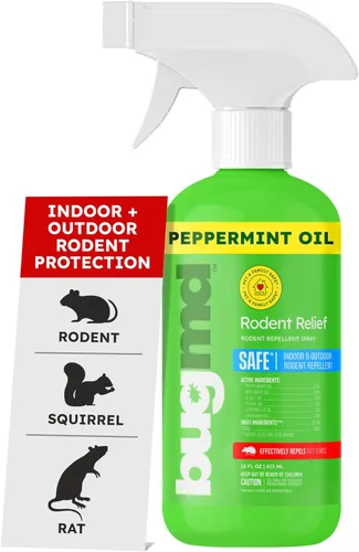 BugMD Spray de aceite de menta para roedores – 16 onzas repelente de ratones y repelente de roedores, repelente natural de ratones con aceites de