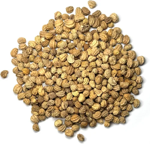 Miniatura 5 de Seed Needs Semillas de Nasturtium Variedad Black Velvet Más de 350 semillas Tropaeolum Minus semilla de flor anual Flores comestibles