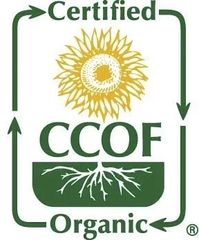 Miniatura 4 de McCabe Arroz dulce orgánico Arroz pegajoso glutinoso Arroz orgánico sin gluten y sin OGM rico en fibras y minerales Certificado orgánico USDA