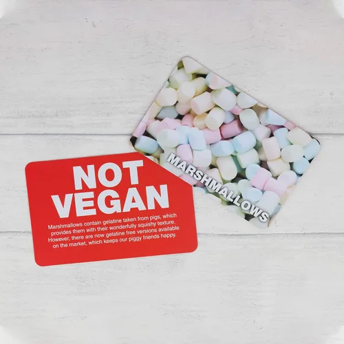 Miniatura 5 de Juego vegano no vegano - Adivina los productos veganos divertido juego de cartas flash - Divertido juego de adivinanzas de sí o no - adecuado
