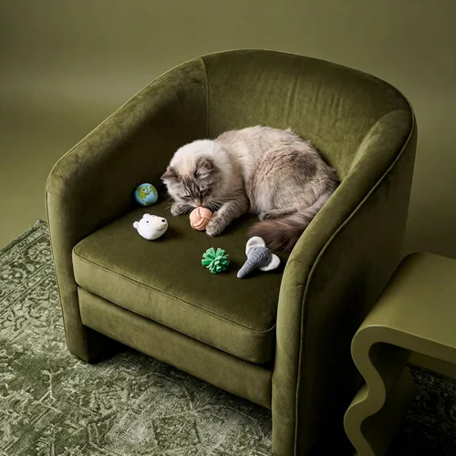 Miniatura 3 de Juguetes para gatos Juguete de peluche de animales terrestres (paquete de 5 unidades) Juguetes para gatos de interior Juguete ecológico hecho