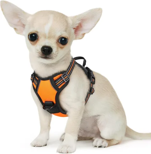 Miniatura 50 de Eagloo Arnés para perro pequeño, sin tirones, chaleco de servicio con tiras reflectantes y asa de control, ajustable y cómodo para caminar, arnés