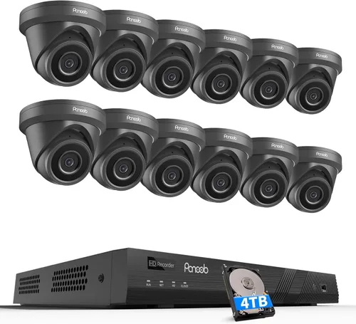 Sistema de cámara de seguridad de 16 canales PANOOB, 12x cámara IP de 5 MP con cable para exteriores tipo domo y torreta PoE, detección AI de Negro