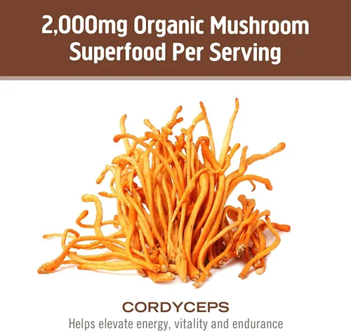 Miniatura 7 de Om Mushroom Superfood Cordyceps Mushroom Capsules Suplemento de superalimentos, 90 unidades, 30 días, energía, potencia, resistencia y soporte