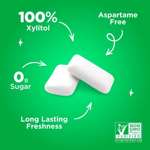 Miniatura 6 de PUR Gum Chicle sin Aspartame 100% Xilitol Chicle con sabor natural a menta verde, 55 piezas (Paquete de 1)