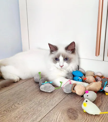 Miniatura 4 de Fashion's Talk Juguete de Ratones para Gatos Paquete de 18 Juguetes de Ratones de Felpa Rellenos de Hierba Gatera para Gatos de Interior - Diseño