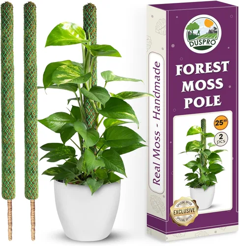 Miniatura 16 de DUSPRO Poste no doblable de 59 pulgadas para plantas trepadoras grandes, poste de musgo grande para Monstera, estacas para plantas