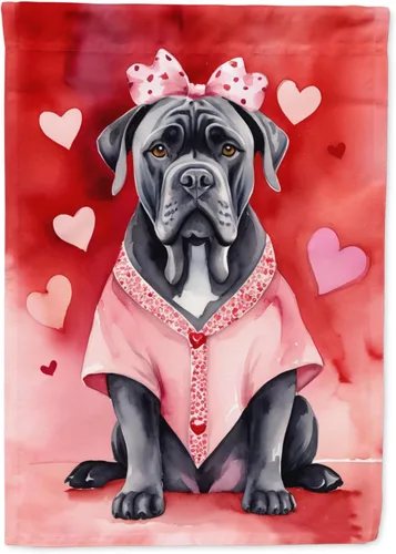 Miniatura 99 de Caroline's Treasures DAC5292CHF - Bandera de Border Collie My Valentine House para porche, grande, con manga para porche, para colgar en la pared