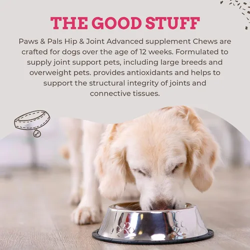 Miniatura 2 de Paws & Pals Glucosamina condroitina MSM para perros, 240 unidades, suplemento masticable suave para la movilidad de cadera y articulaciones, alivio