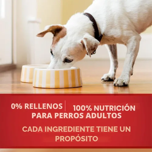 Miniatura 9 de Purina ONE Alimento Natural para Perros con Alto Contenido de Proteínas, Cortes Tiernos en Salsa de Pollo y Arroz Integral Entrée - 13 Onzas