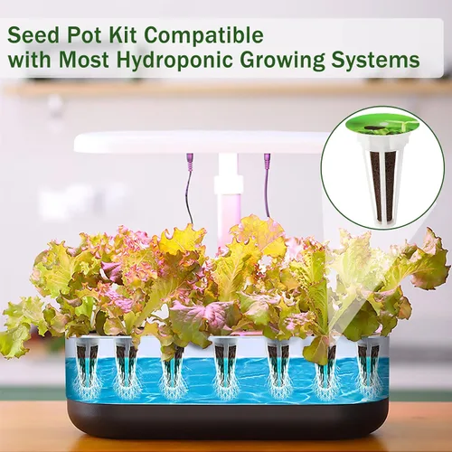 Miniatura 7 de DECYOOL Cápsulas de semillas de jardín, kit de 48 cápsulas hidropónicas: kit de cultivo de cualquier cosa con 12 cestas de cultivo, 12 esponjas