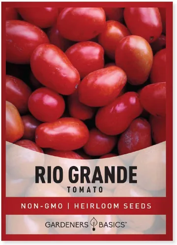 Gardeners Basics Semillas de tomate Rio Grande para plantar semillas tradicionales sin OMG para verduras de jardín casero son un gran regalo para