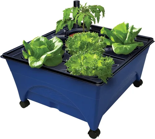 Emsco Grupo Bountiful caja de cultivo, cama elevada para cosechar, maceta hidrofónica, no eléctrica