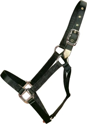 Miniatura 14 de Hamilton Caballo de nailon de 1 pulgada, tamaño pequeño (500-800 libras), azul baya