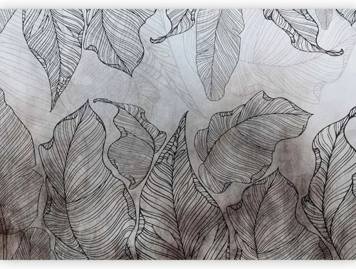 Miniatura 18 de artgeist Mural para pared Palmeras de 154 x 110 pulgadas, papel tapiz autoadhesivo removible, adhesivo grande extraíble, diseño impreso, diseño