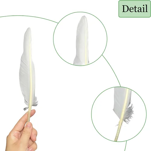 Miniatura 3 de LWINGFLYER 25 plumas de ganso de 10 a 12 pulgadas de largo para bolígrafos, manualidades, festivales, Halloween, sombreros, decoraciones de Natural