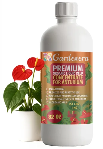 Miniatura 68 de GARDENERA Superalimento orgánico prémium de algas marinas y algas marinas para plantas AGLAONEMA, 8 onzas, concentrado de fertilizante líquido