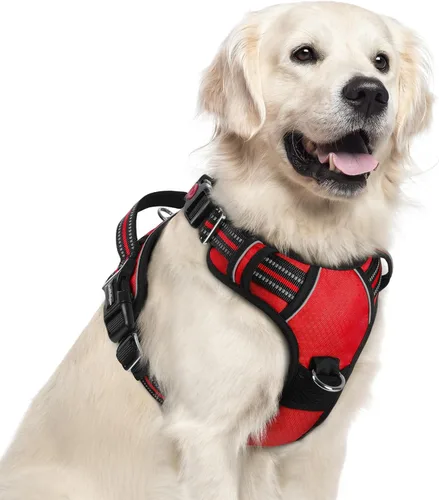 Miniatura 29 de rabbitgoo Arnés para perro de tamaño pequeño, chaleco para perro sin tirones con 3 hebillas, arnés ajustable y acolchado suave para mascotas con asa