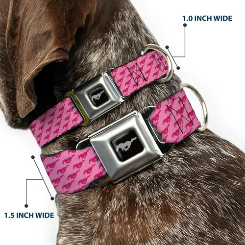 Miniatura 2 de Collar para perro FM - Mustang w/Barras w/Texto (W30628) - Ancho Pequeño
